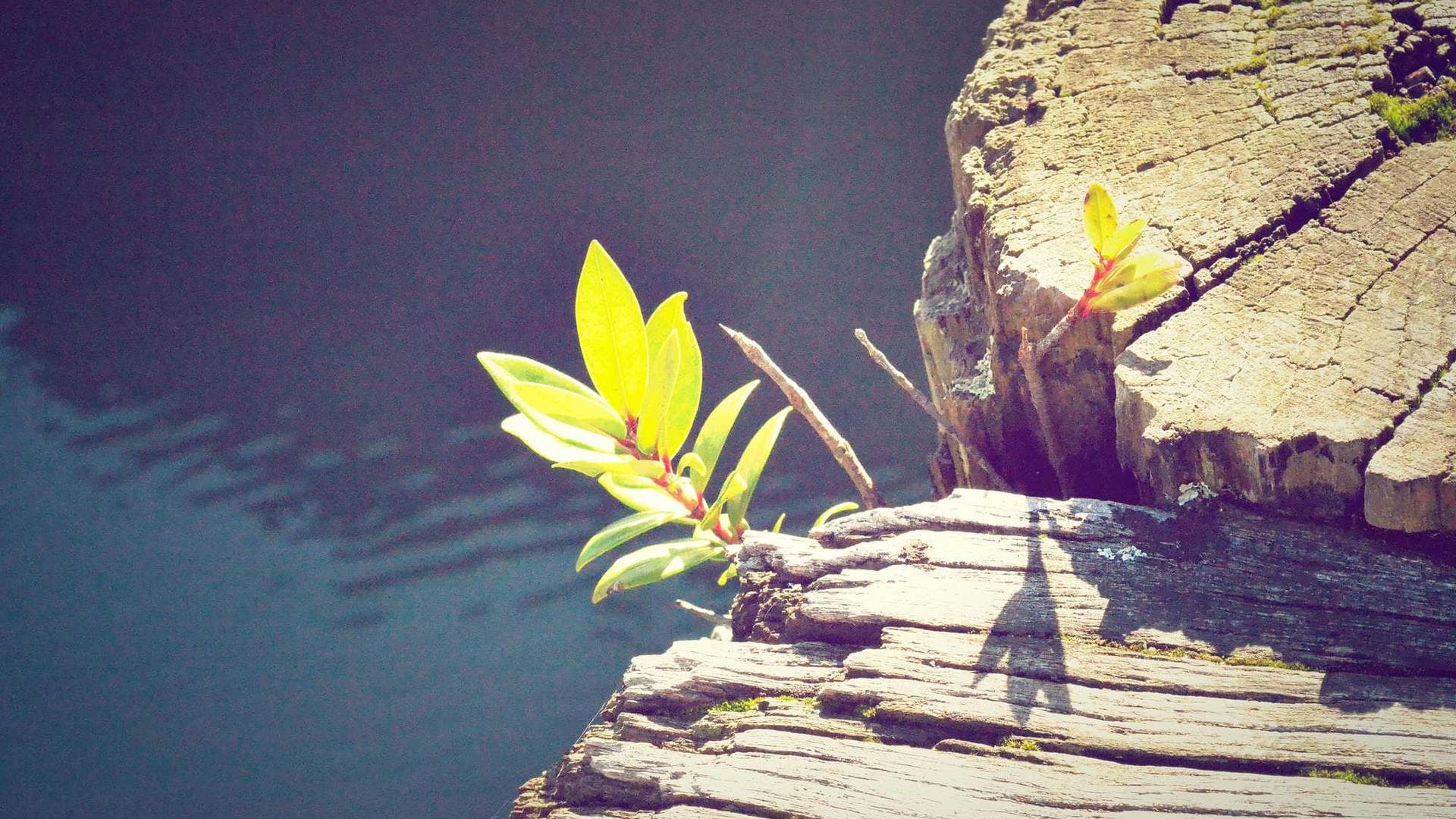 Modern home in Nepal