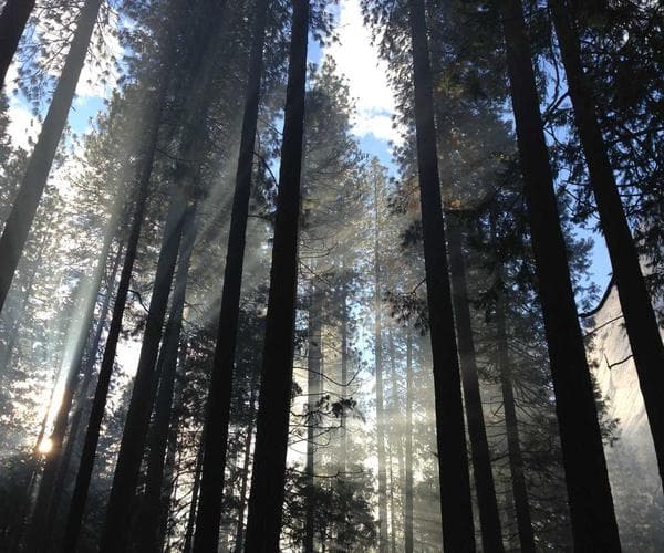 Unified digital identity