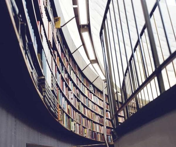 Neup.Ads dashboard showing analytics