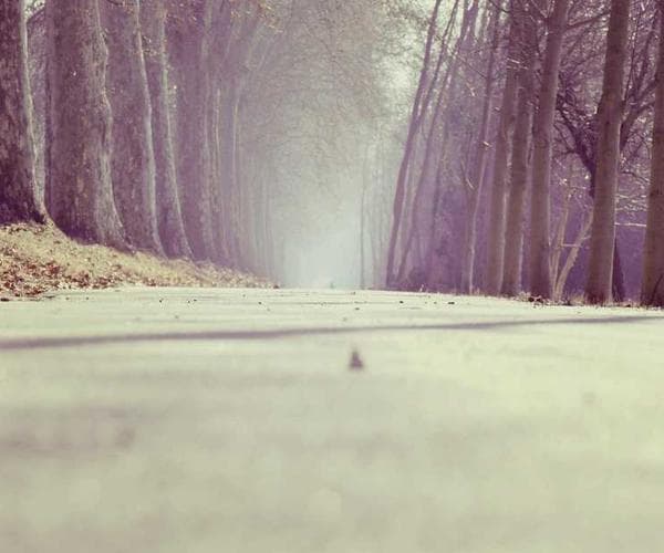 Design process visualization