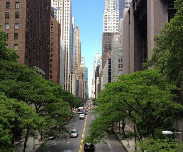 Neup.Ledger dashboard