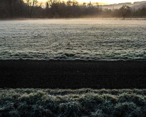 Neup Group Ecosystem