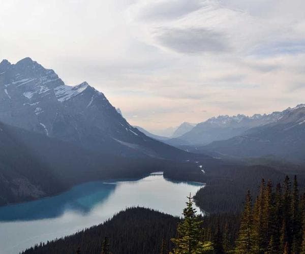 Website builder interface