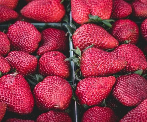 Social media distribution map